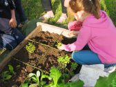 planting squares