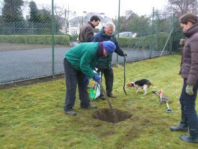 Rathfarnham 'big dig' 001