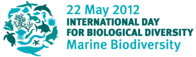 marine biodiversity