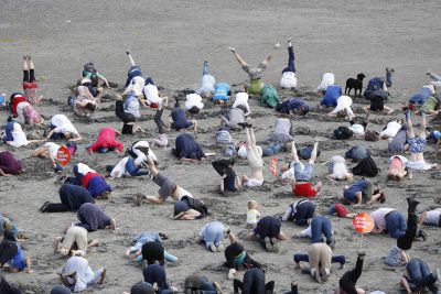 Heads in the Sand 2