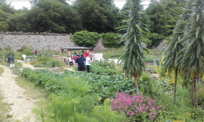 Ards Walled Garden 4